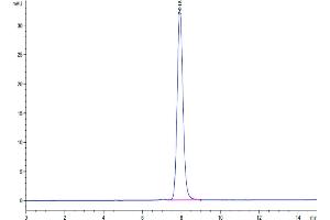 Size-exclusion chromatography-High Pressure Liquid Chromatography (SEC-HPLC) image for Ring Finger Protein 34 (RNF34) (AA 24-197) protein (Fc Tag) (ABIN7275520)