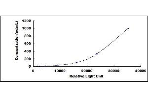 Interleukin 28B (Interferon, lambda 3) (IL28B) CLIA Kit