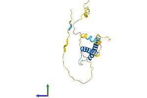 Protein Structure (PS) image for Basic Helix-Loop-Helix Family, Member A15 (BHLHA15) (AA 1-189) protein (His tag) (ABIN7552802)