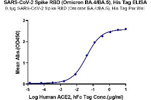 ELISA image for SARS-CoV-2 Spike (BA.4 - Omicron), (BA.5 - Omicron), (RBD) protein (His tag) (ABIN7273903)