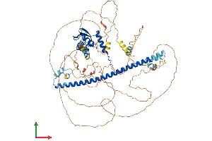AlphaFold protein structure predicition of Human Recombinant BACH1 Protein, UniprotID O14867