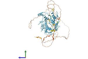 AlphaFold protein structure predicition of Human Recombinant ZFP64 Protein, UniprotID Q9NTW7 (ZFP64 Protein (AA 1-645) (His tag))