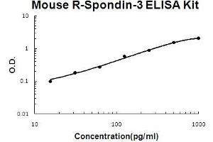 Mouse R-Spondin-3 PicoKine ELISA Kit standard curve (R-Spondin 3 ELISA 试剂盒)