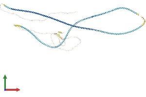 Protein Structure (PS) image for Synaptonemal Complex Protein 1 (SYCP1) (AA 1-976) protein (His tag) (ABIN7555670)