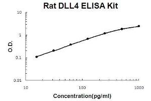 Rat DLL4 PicoKine ELISA Kit standard curve (DLL4 ELISA 试剂盒)