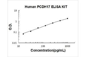 Protocadherin 17 (PCDH17) ELISA Kit