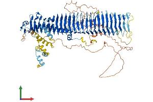 Protein Structure (PS) image for F-Box Protein 10 (FBXO10) (AA 1-956) protein (His tag) (ABIN7553906)