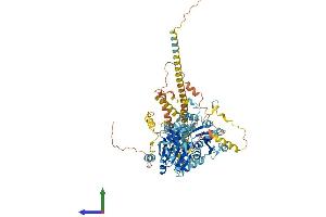 Protein Structure (PS) image for Helicase, Lymphoid-Specific (HELLS) (AA 1-821) protein (His tag) (ABIN7563882)