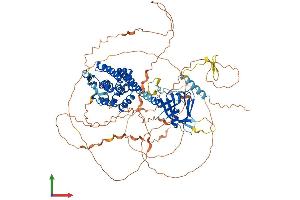 Protein Structure (PS) image for rho Guanine Nucleotide Exchange Factor (GEF) 15 (ARHGEF15) (AA 1-849) protein (His tag) (ABIN7563818)