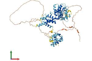 Protein Structure (PS) image for Cell Division Cycle 6 Homolog (S. Cerevisiae) (CDC6) (AA 1-562) protein (His tag) (ABIN7562706)