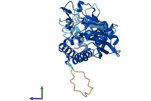 Protein Structure (PS) image for Archaelysin Family Metallopeptidase 2 (AMZ2) (AA 1-360) protein (His tag) (ABIN7552024)