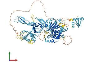 Protein Structure (PS) image for Minichromosome Maintenance Deficient 8 (MCM8) (AA 1-840) protein (His tag) (ABIN7554527)