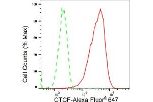 Flow cytometric analysis of CTCF expression in C2C12 cells using CTCF antibody (ABIN7797950), 1:2,000). (Recombinant CTCF 抗体)