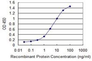 Detection limit for recombinant GST tagged HSD17B8 is 0. (HSD17B8 抗体  (AA 28-127))