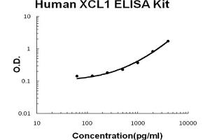 Human XCL1/Lymphotactin Accusignal ELISA Kit Human XCL1/Lymphotactin AccuSignal ELISA Kit standard curve. (XCL1 ELISA 试剂盒)