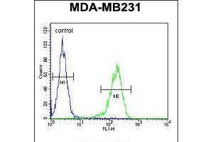 Flow cytometric analysis of MDA-MB231 cells (right histogram) compared to a negative control cell (left histogram). (14-3-3 zeta 抗体  (AA 65-93))
