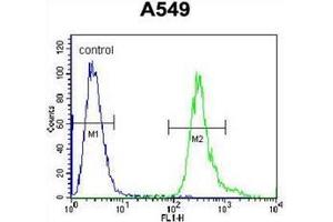 Flow cytometric analysis of A549 cells using LRRC6 Antibody (Center) Cat. (LRRC6 抗体  (Middle Region))