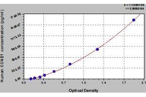 Typical Standard Curve (Cyclin E1 ELISA 试剂盒)