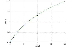 Cytochrome C Oxidase Subunit I (COX1) ELISA Kit
