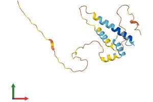 Protein Structure (PS) image for Inhibitor of DNA Binding 1, Dominant Negative Helix-Loop-Helix Protein (ID1) (AA 1-168) protein (His tag) (ABIN7562945)