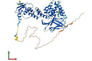 Protein Structure (PS) image for Germ Cell-Less, Spermatogenesis Associated 1 (GMCL1) (AA 1-515) protein (His tag) (ABIN7548016)