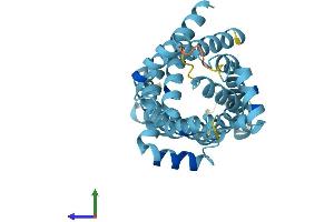 Protein Structure (PS) image for Solute Carrier Family 25, Member 45 (SLC25A45) (AA 1-288) protein (His tag) (ABIN7559307)