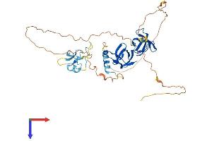 STAC Protein (AA 1-402) (His tag)