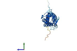 AlphaFold protein structure predicition of Mouse Recombinant Lhfpl5 Protein, UniprotID Q4KL25