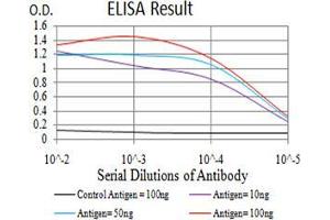 Black line: Control Antigen (100 ng);Purple line: Antigen (10ng); Blue line: Antigen (50 ng); Red line:Antigen (100 ng) (DNMT3A 抗体  (AA 46-180))