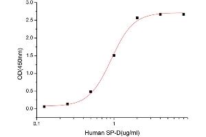 Signal-Regulatory Protein beta 1 (SIRPB1) (AA 30-371) (Active) protein (His tag)