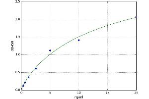 Fibromodulin (FMOD) ELISA Kit