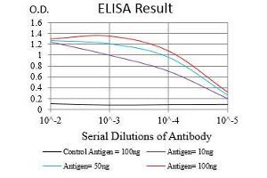 Black line: Control Antigen (100 ng), Purple line: Antigen(10 ng), Blue line: Antigen (50 ng), Red line: Antigen (100 ng), (CD90 抗体  (AA 17-132))
