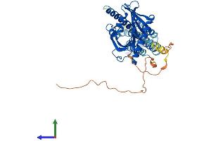 Protein Structure (PS) image for StAR-Related Lipid Transfer (START) Domain Containing 3 (STARD3) (AA 1-446) protein (His tag) (ABIN7557715)
