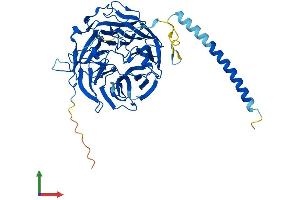 Protein Structure (PS) image for Coronin, Actin Binding Protein, 2B (CORO2B) (AA 1-480) protein (His tag) (ABIN7558606)