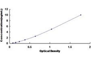 Typical standard curve (Gastrokine 1 ELISA 试剂盒)