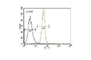 Leptin Receptor (LEPR) Antibody (N-term) (ABIN390093 and ABIN2840609) flow cytometric analysis of K562 cells (right histogram) compared to a negative control cell (left histogram). (Leptin Receptor 抗体  (N-Term))