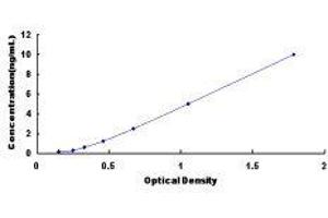 ELISA image for Angiotensin II Receptor, Type 1 (AGTR1) ELISA Kit (ABIN432266)