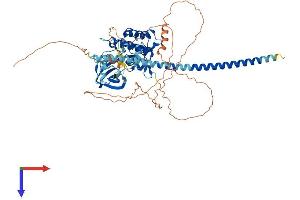 MAP3K7 Protein (AA 1-606) (His tag)