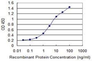 ELISA image for anti-Cytochrome P450, Family 26, Subfamily B, Polypeptide 1 (CYP26B1) (AA 131-230) antibody (ABIN527926)