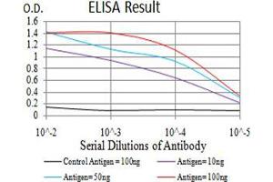 Black line: Control Antigen (100 ng), Purple line: Antigen(10 ng), Blue line: Antigen (50 ng), Red line: Antigen (100 ng), (FOXM1 抗体  (AA 649-748))