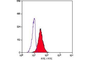 Staining of human peripheral blood granulocytes with MOUSE ANTI HUMAN CD10 (ABIN119108). (MME 抗体)