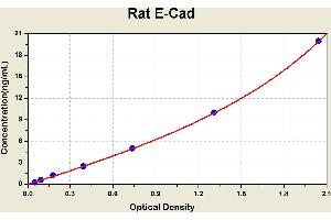 Diagramm of the ELISA kit to detect Rat E-Cadwith the optical density on the x-axis and the concentration on the y-axis.