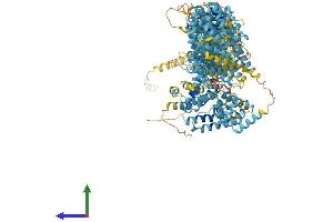 Protein Structure (PS) image for Fanconi Anemia Group A Protein (FANCA) (AA 1-1439) protein (His tag) (ABIN7565113)