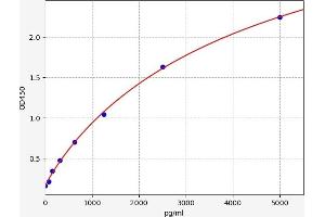 Typical standard curve (CD300LB ELISA 试剂盒)