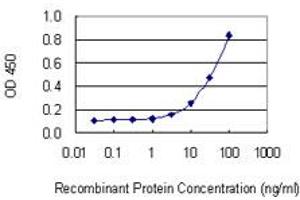 Detection limit for recombinant GST tagged LPIN1 is 1 ng/ml as a capture antibody. (Lipin 1 抗体  (AA 792-890))