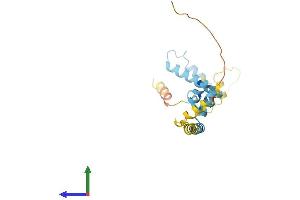 AlphaFold protein structure predicition of Human Recombinant DNAJC5G Protein, UniprotID Q8N7S2