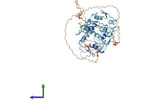 Protein Structure (PS) image for Zinc Finger Protein 671 (ZNF671) (AA 1-534) protein (His tag) (ABIN7545825)
