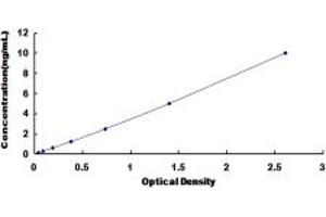 Typical standard curve (Cofilin ELISA 试剂盒)