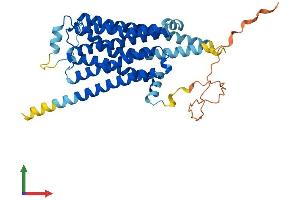 Protein Structure (PS) image for Serotonin Receptor 4 (HTR4) (AA 1-388) protein (His tag) (ABIN7556773)