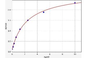 Typical standard curve (CSNK2B ELISA 试剂盒)